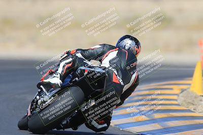 media/May-13-2023-SoCal Trackdays (Sat) [[8a473a8fd1]]/Turn 11 Backside (945am)/